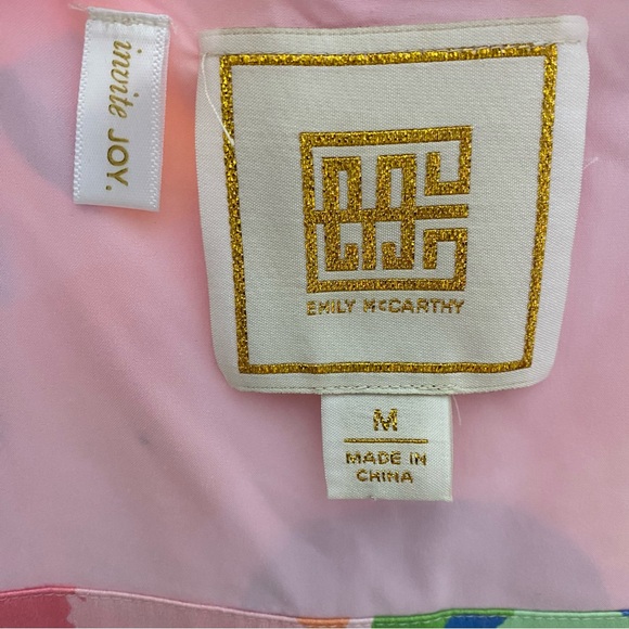 Emily McCarthy Candy Cheetah Empire Maxi Dress - Picture 3 of 4